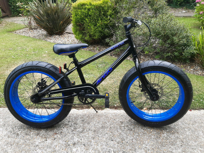 fat bike gumtree